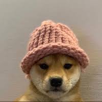 dogwifhat (WIFUSD) Is Rising Against Downward Forces