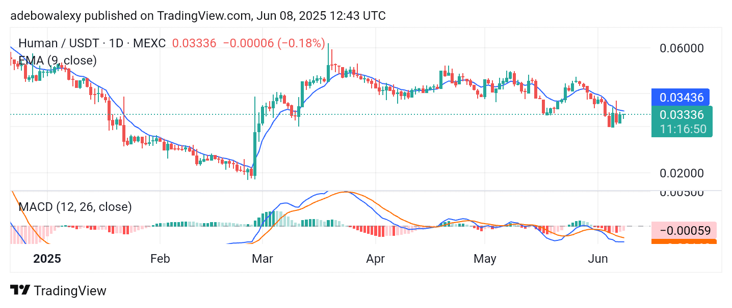 Trending Crypto Coins for June 8, 2025: KOGE, ANIME, HUMA, TRX, and RVN