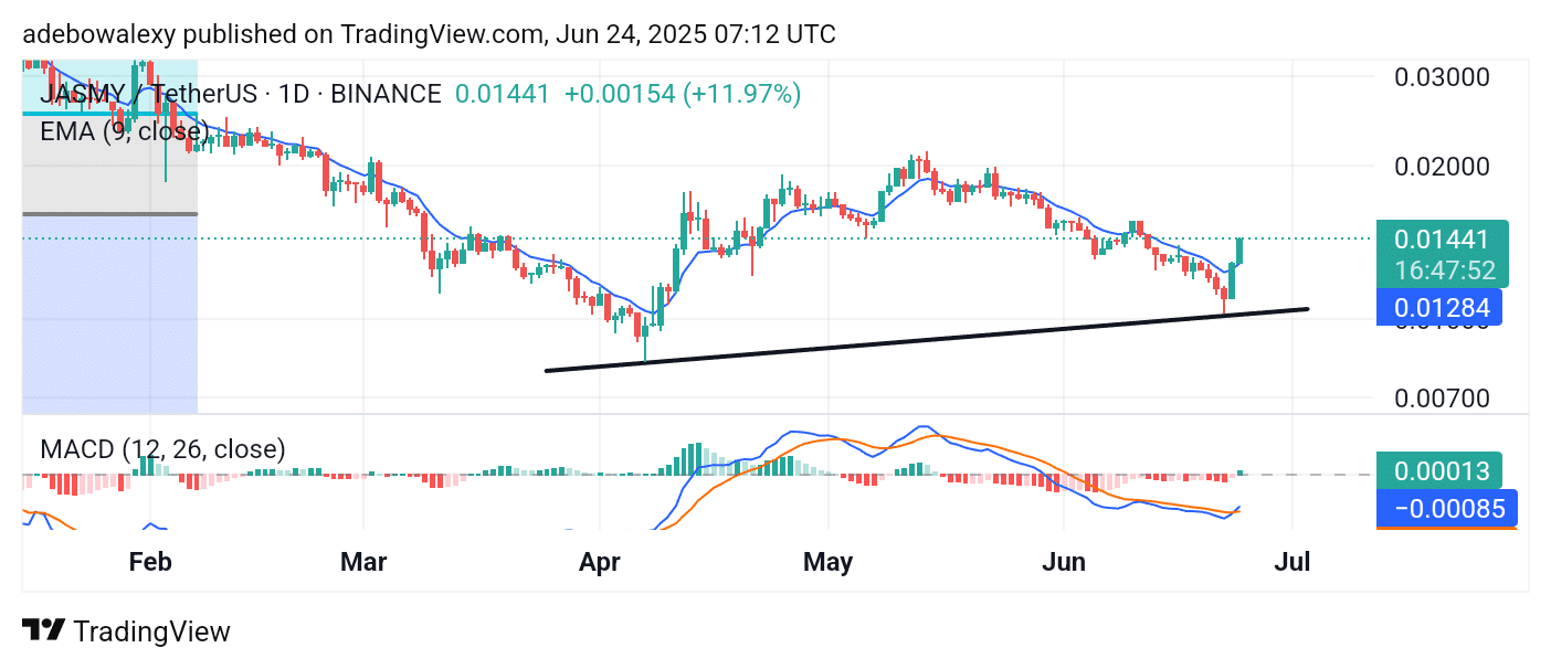 JASMY/USDT Bulls Deliver Quick Jabs