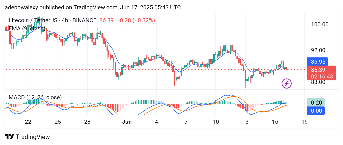 Wall Street Pepe Price Prediction for June 17: WEPE Upside Retracement Continues