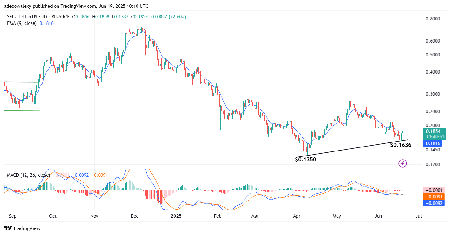 SEI/USDT Prints Minimal Gains