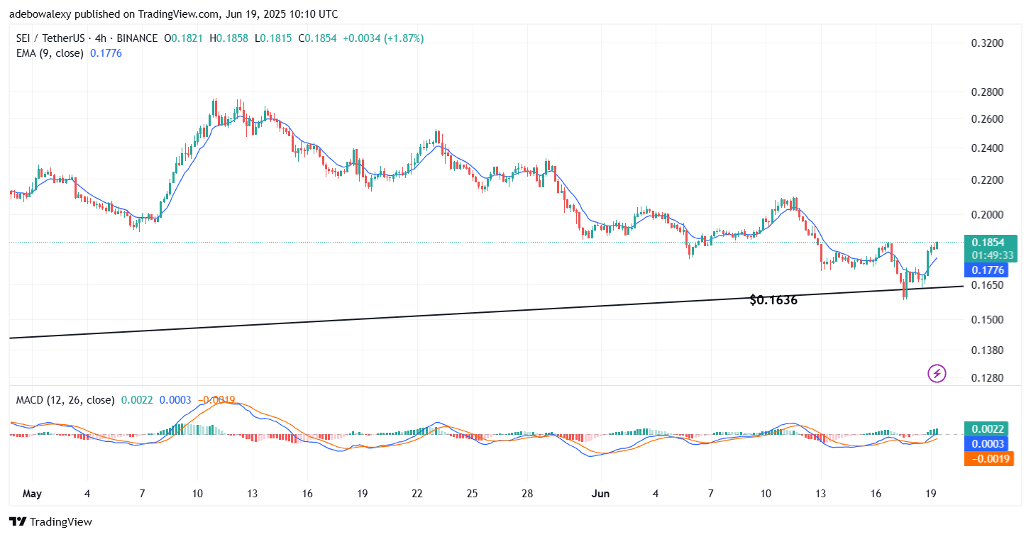 SEI/USDT Prints Minimal Gains