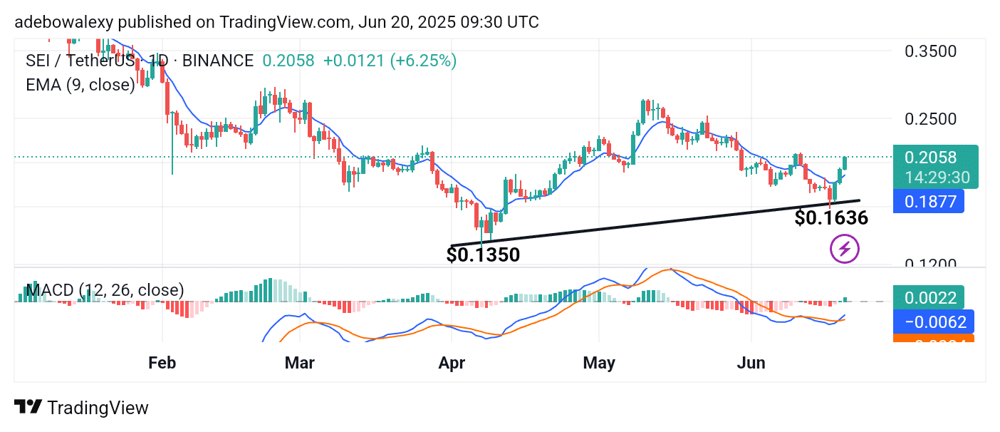 Buying Continues in the SEI Market