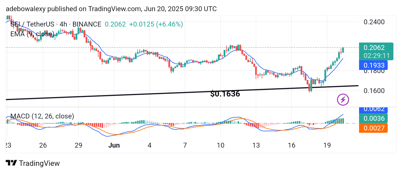 Buying Continues in the SEI Market