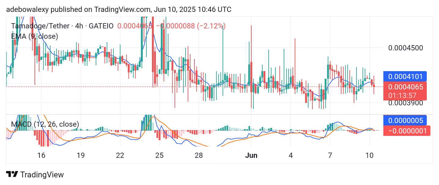 TAMA/USDT Bulls Are Breaking the Fall In the Tamadoge 1-hour chart, it can be seen that price action is no longer in free fall