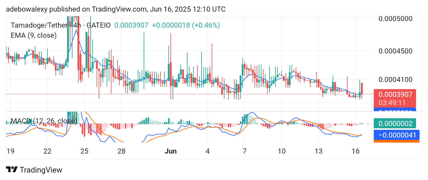 Tamadoge (TAMA) Price Outlook — June 16, 2025: TAMA/USDT Accumulation May Have Ended