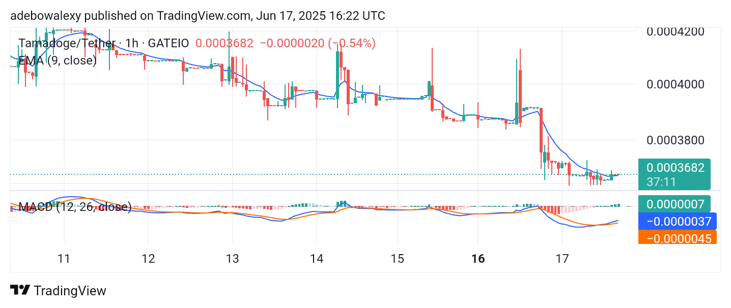 Tamadoge (TAMA) Price Outlook — June 18, 2025: TAMA/USDT Regroups at a Psychological Support