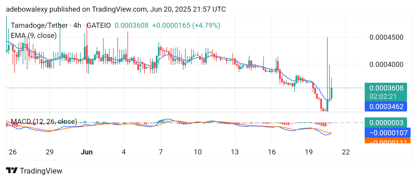 Tamadoge (TAMA) Price Outlook for June 21: TAMA/USDT Sees a Surge