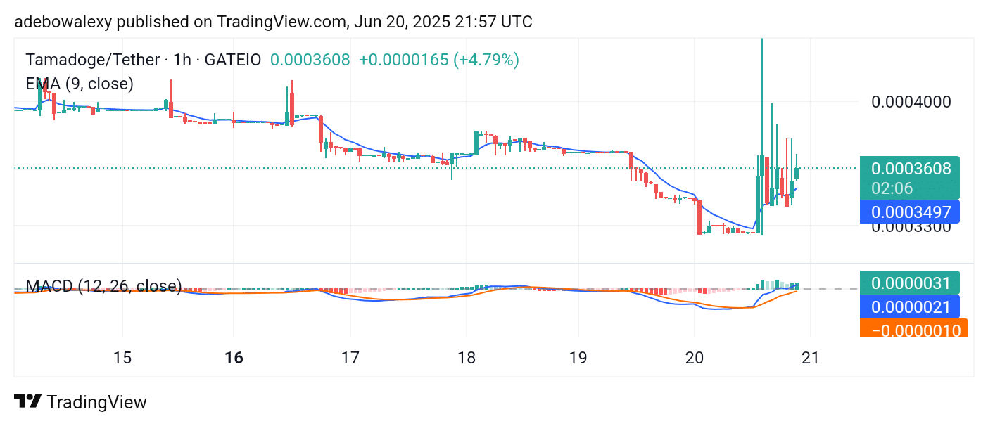 Tamadoge (TAMA) Price Outlook for June 21: TAMA/USDT Sees a Surge