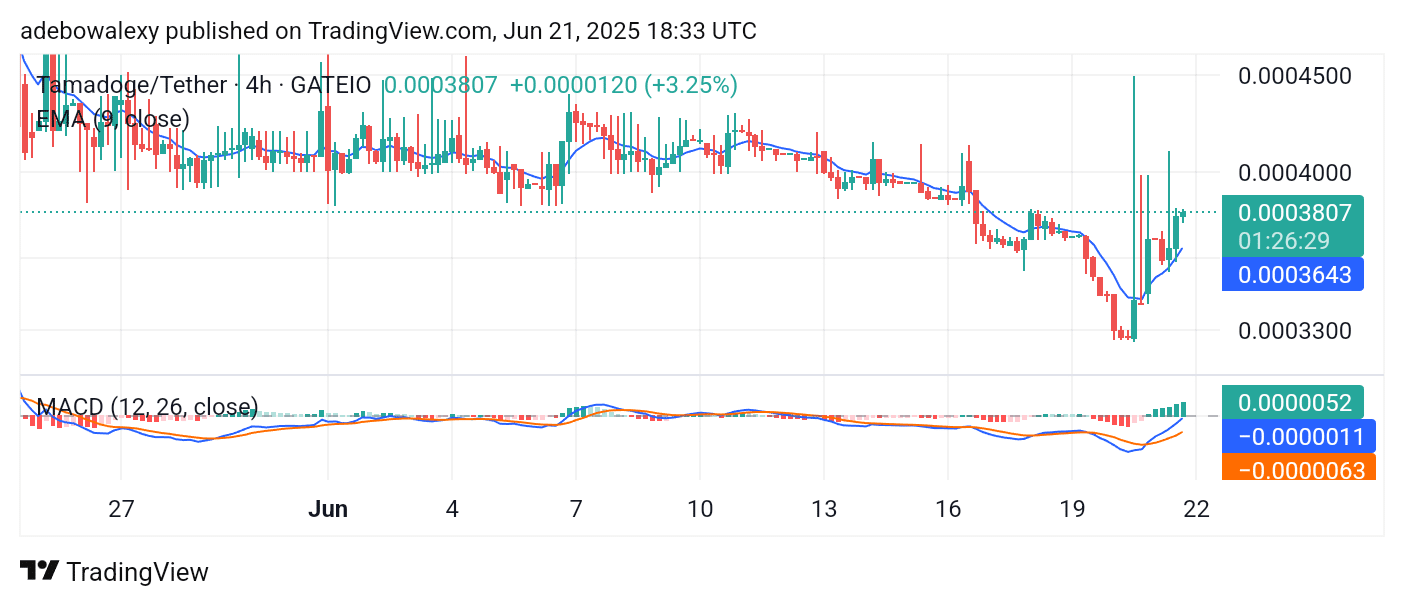 Tamadoge (TAMA) Price Outlook for June 21: TAMA/USDT Continues to Flourish
