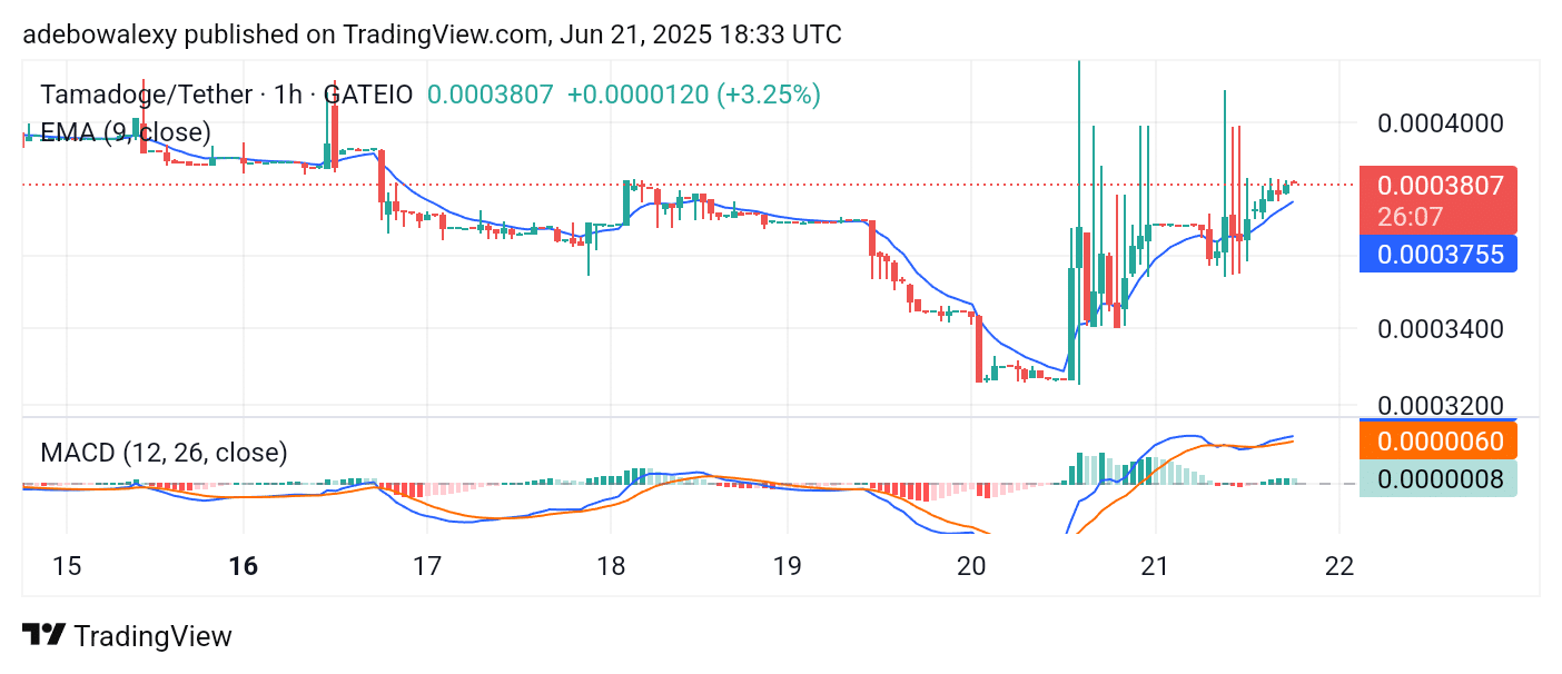Tamadoge (TAMA) Price Outlook for June 21: TAMA/USDT Continues to Flourish