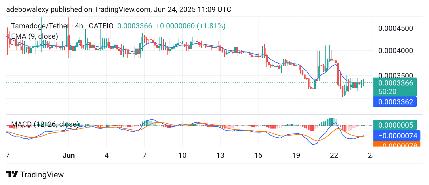 Tamadoge (TAMA) Price Outlook for June 24, 2025: TAMA/USDT Steadily Recovers