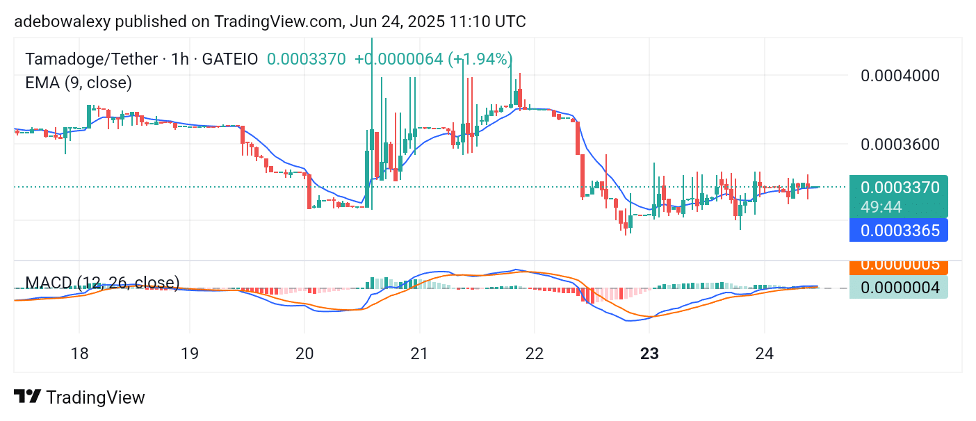 Tamadoge (TAMA) Price Outlook for June 24, 2025: TAMA/USDT Steadily Recovers
