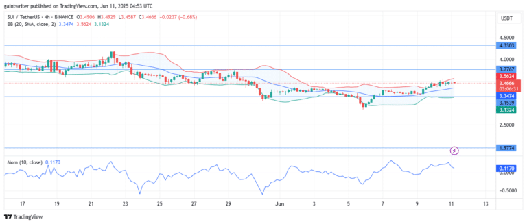 The cryptocurrency market continues to show signs of tension as Sui tokens struggle to find clear direction against Tether.