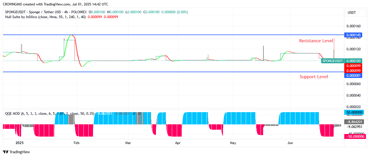 Sponge Price Is Moving Towards Moon