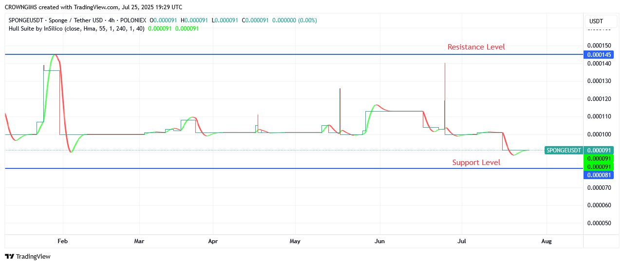 Sponge Price: Bullish Momentum Will be Reinforced