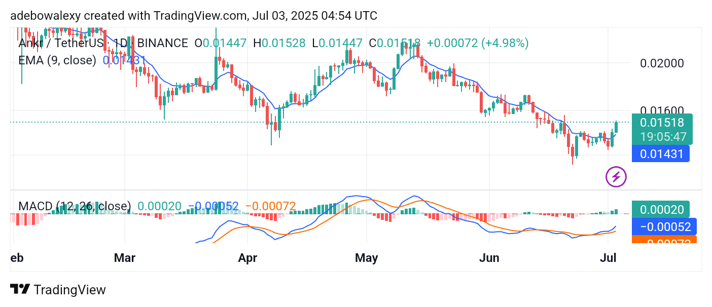 ANKR/USDT Races Toward the $0.01600 Mark
