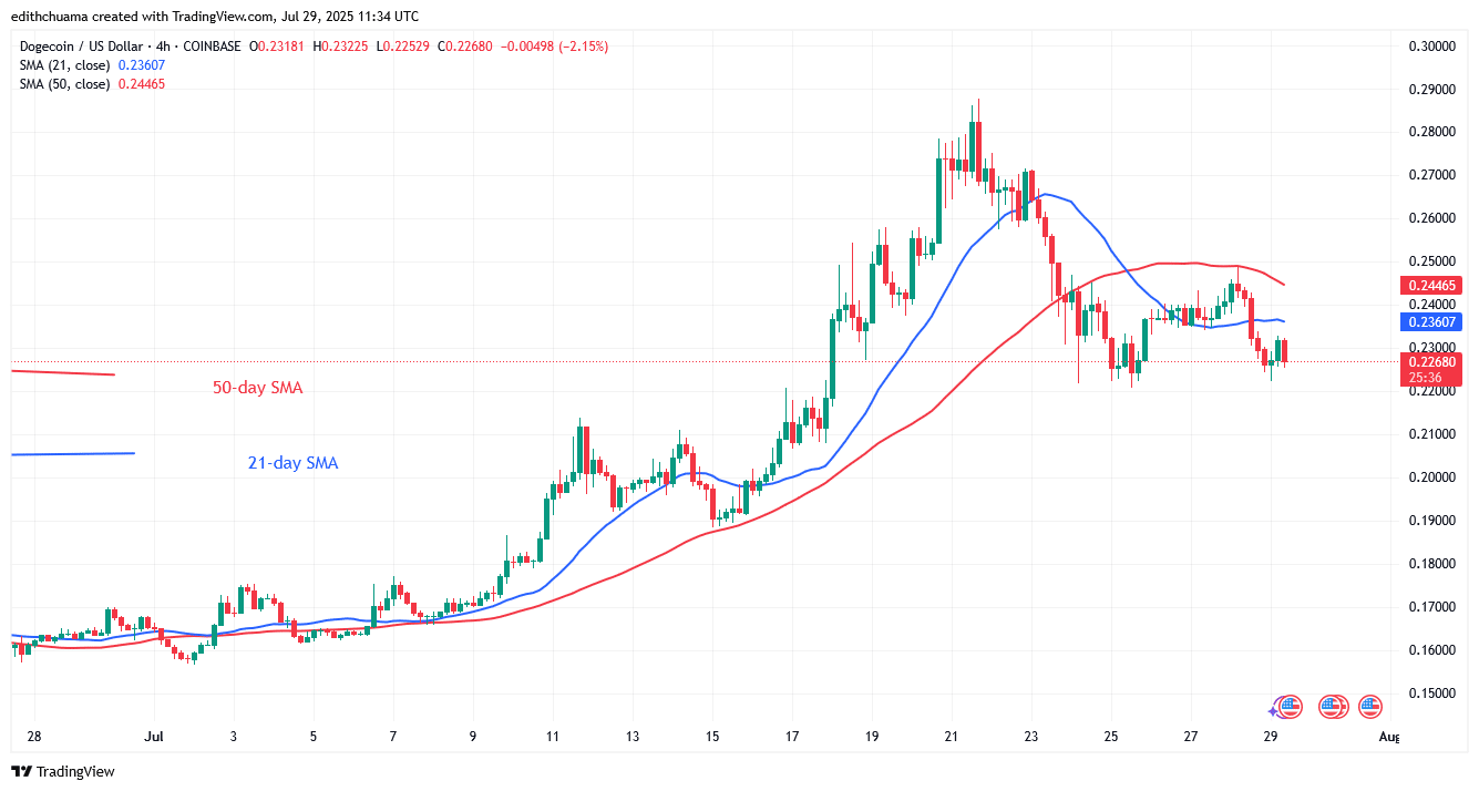 DOGE Maintains Its Slide as It Holds above $0.22