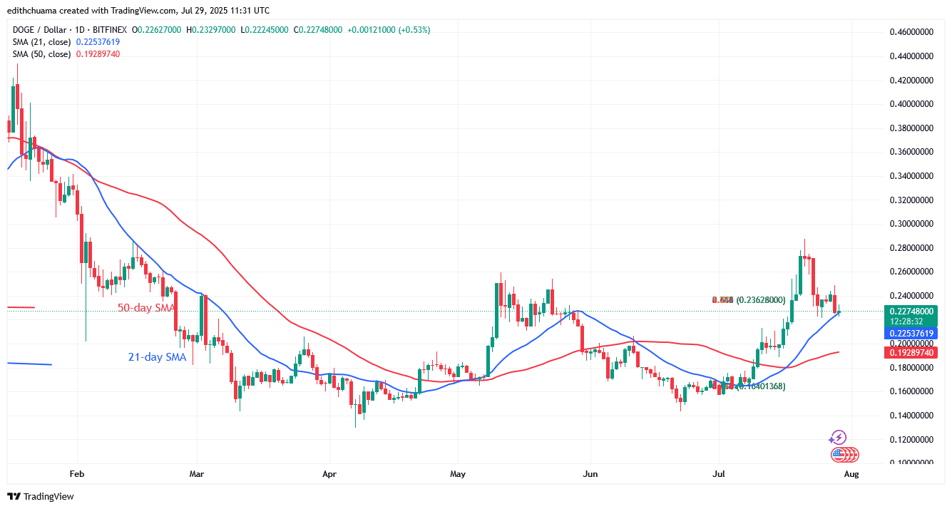 DOGE Maintains Its Slide as It Holds above $0.22
