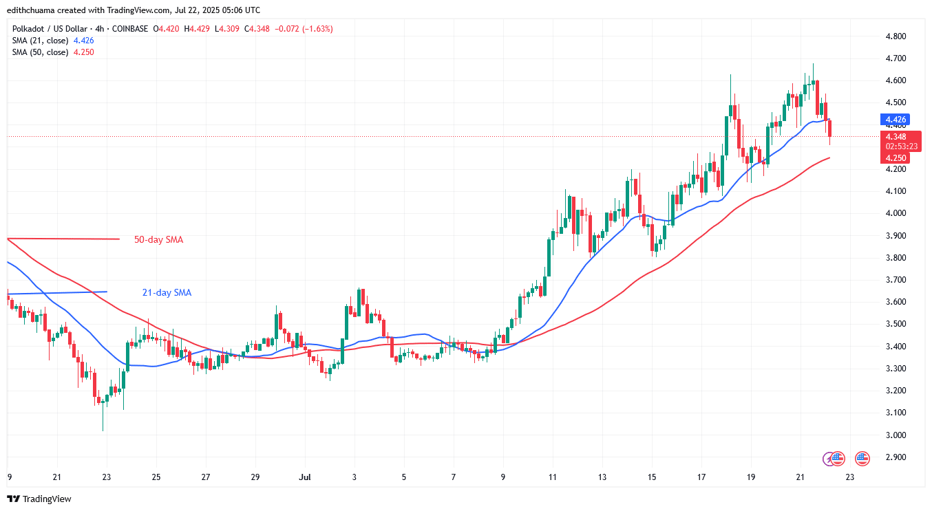 Polkadot Retreats but Stays Above the .00 Low