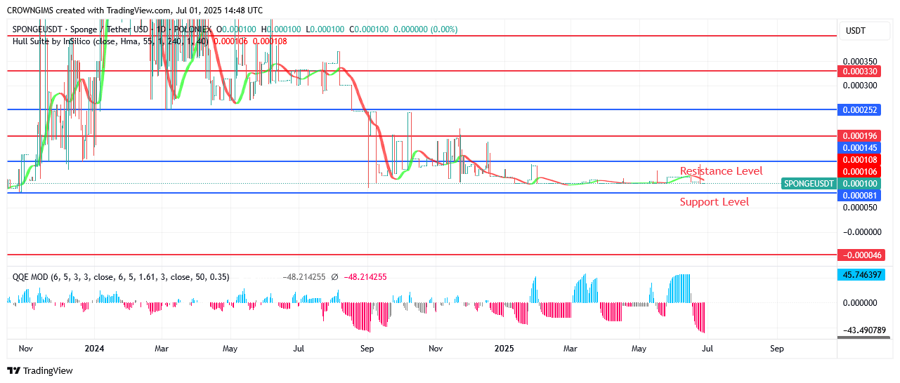 Sponge Price Is Moving Towards Moon