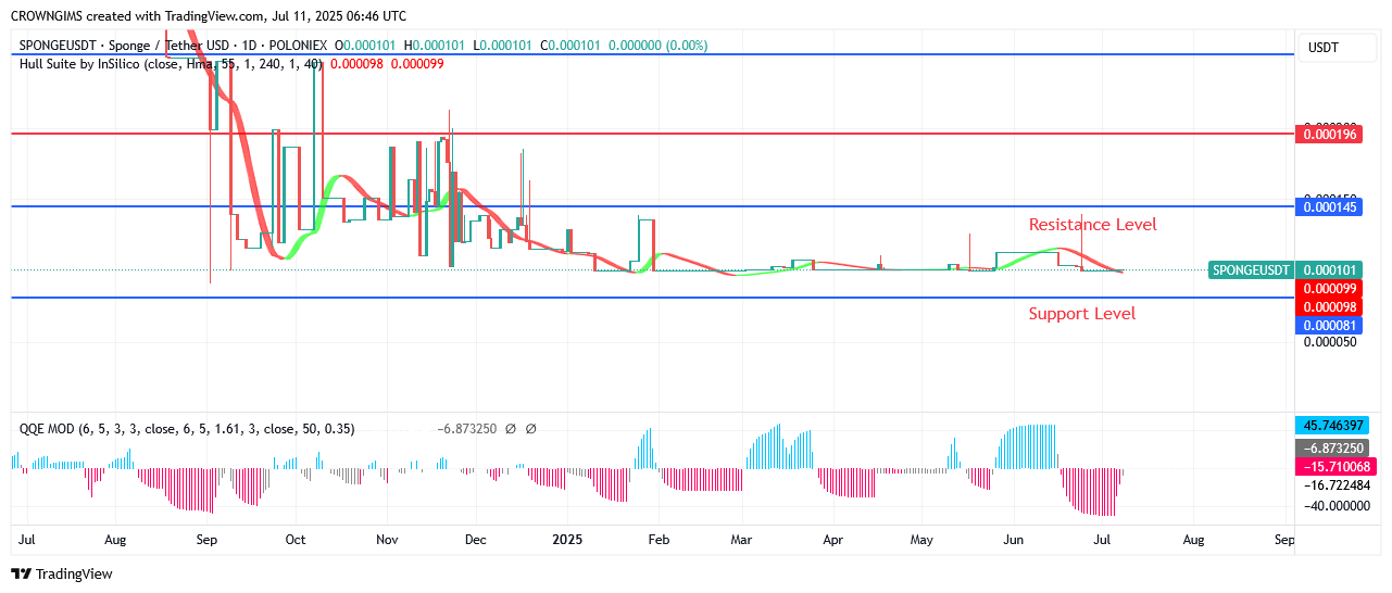 Sponge Price Is Under Bullish Pressure