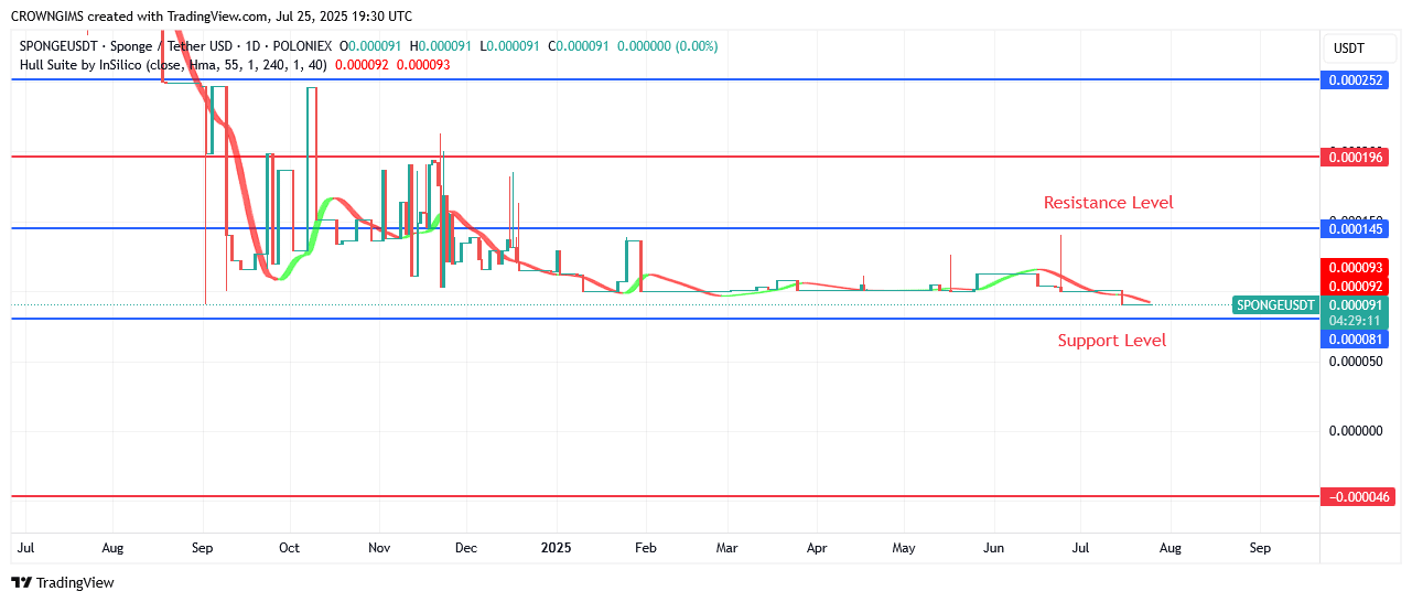 Sponge Price: Bullish Momentum Will be Reinforced