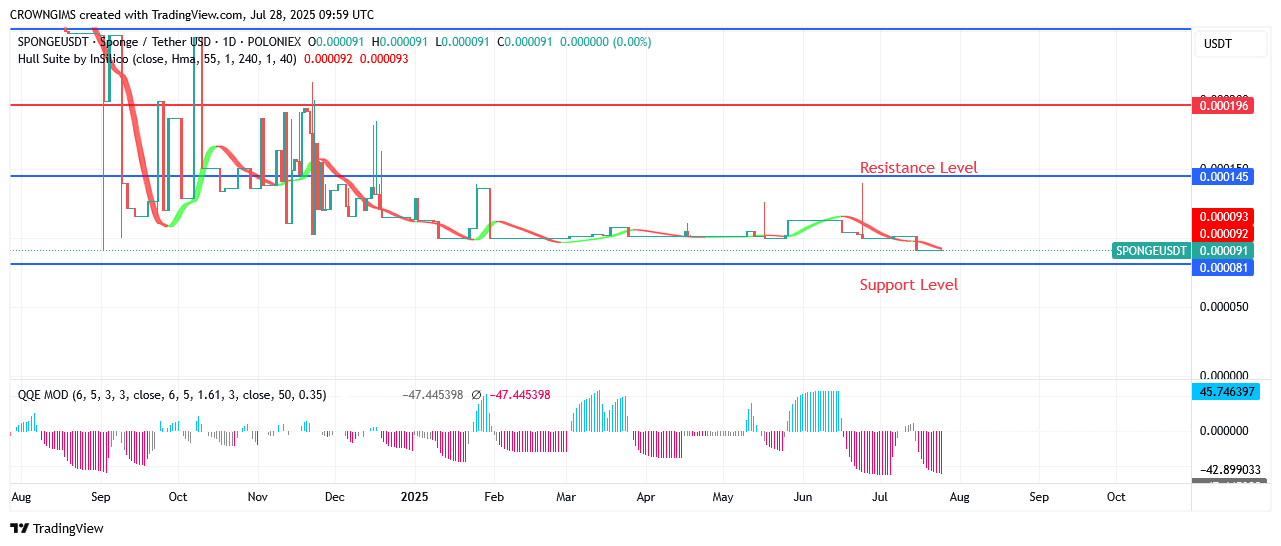 Sponge Price Is Expected to Surpass $0.000145 Zone