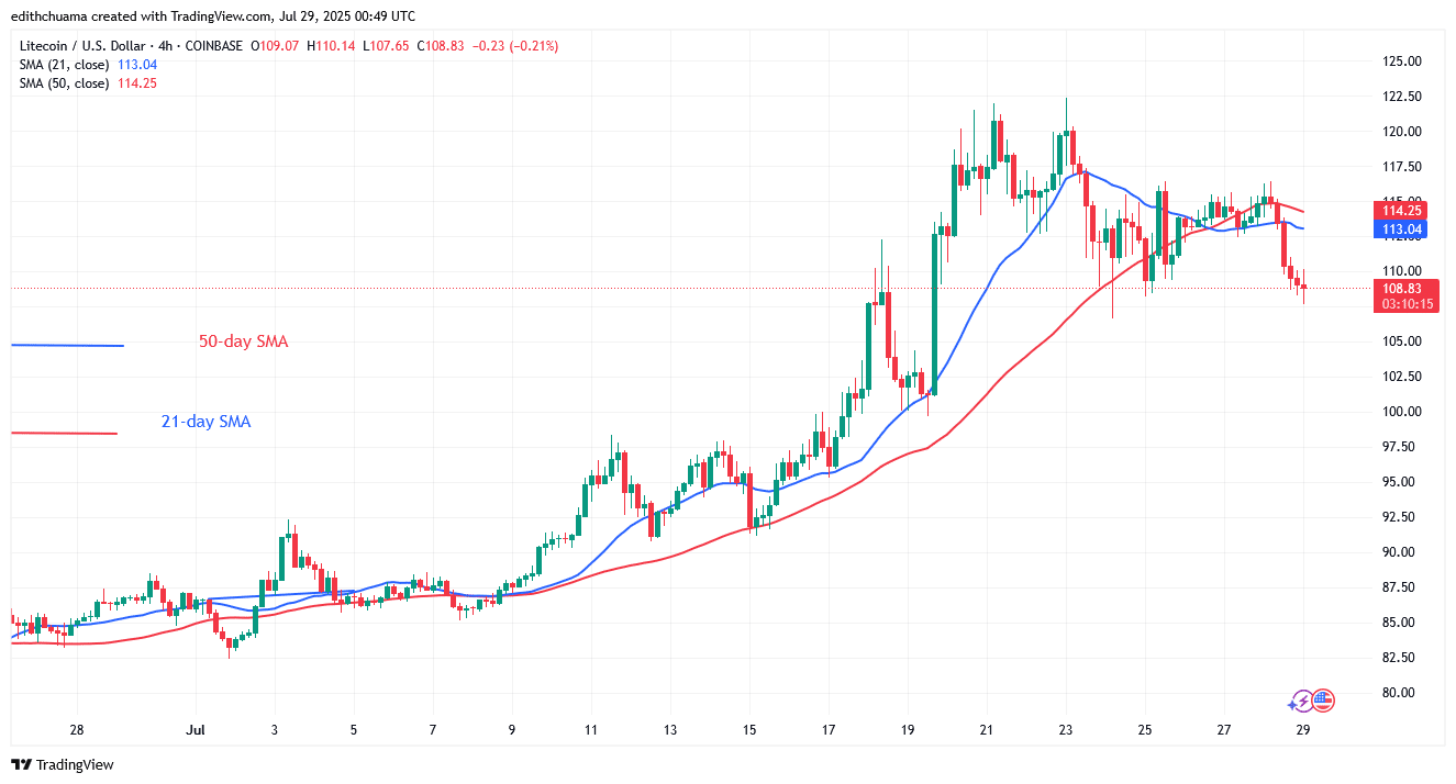 Litecoin's Price Swings below the 0 barrier