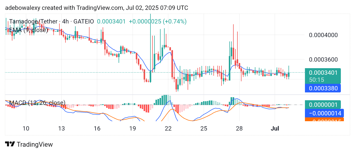 Tamadoge (TAMA) Price Outlook for July 2, 2025: TAMA/USDT Is Testing Elevated Price Levels
