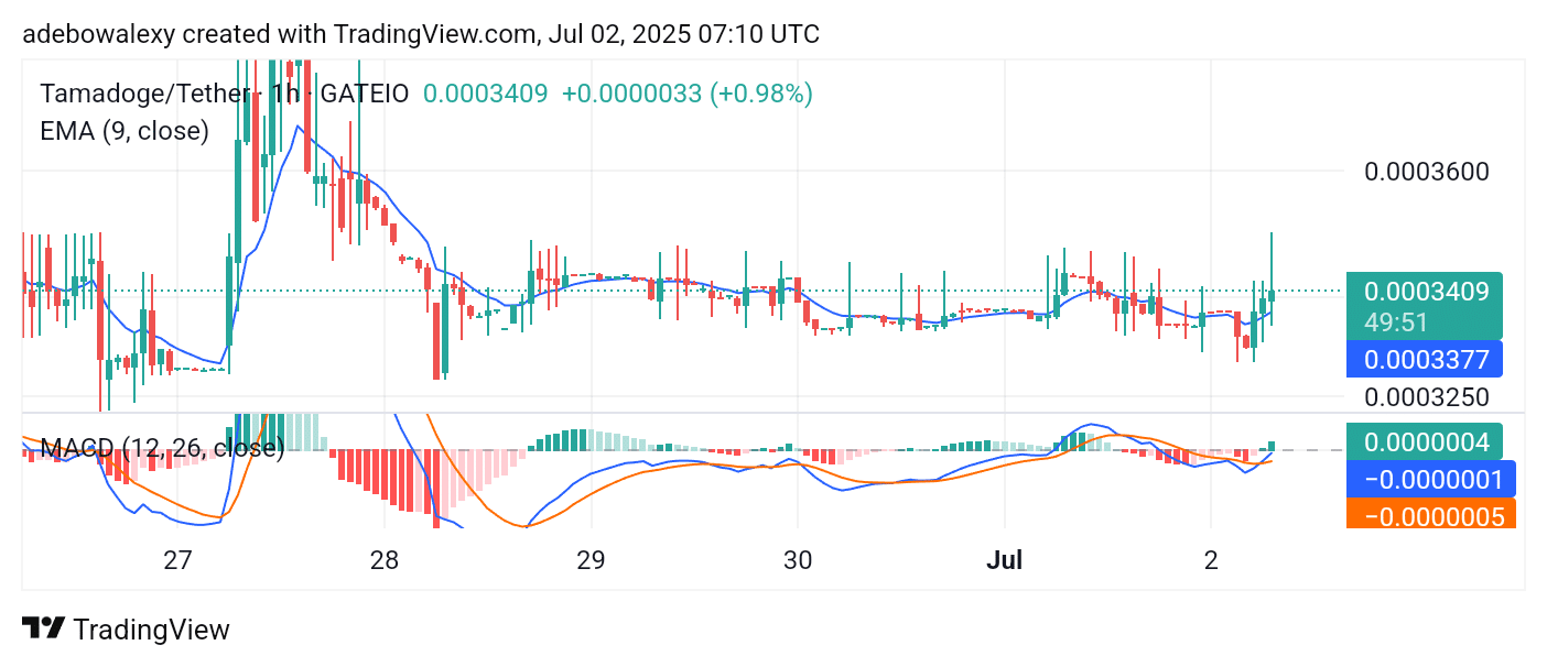 Tamadoge (TAMA) Price Outlook for July 2, 2025: TAMA/USDT Is Testing Elevated Price Levels