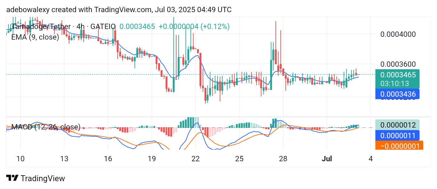 Tamadoge (TAMA) Price Outlook for July 3, 2025: TAMA/USDT About to Breach the $0.0003500 Level