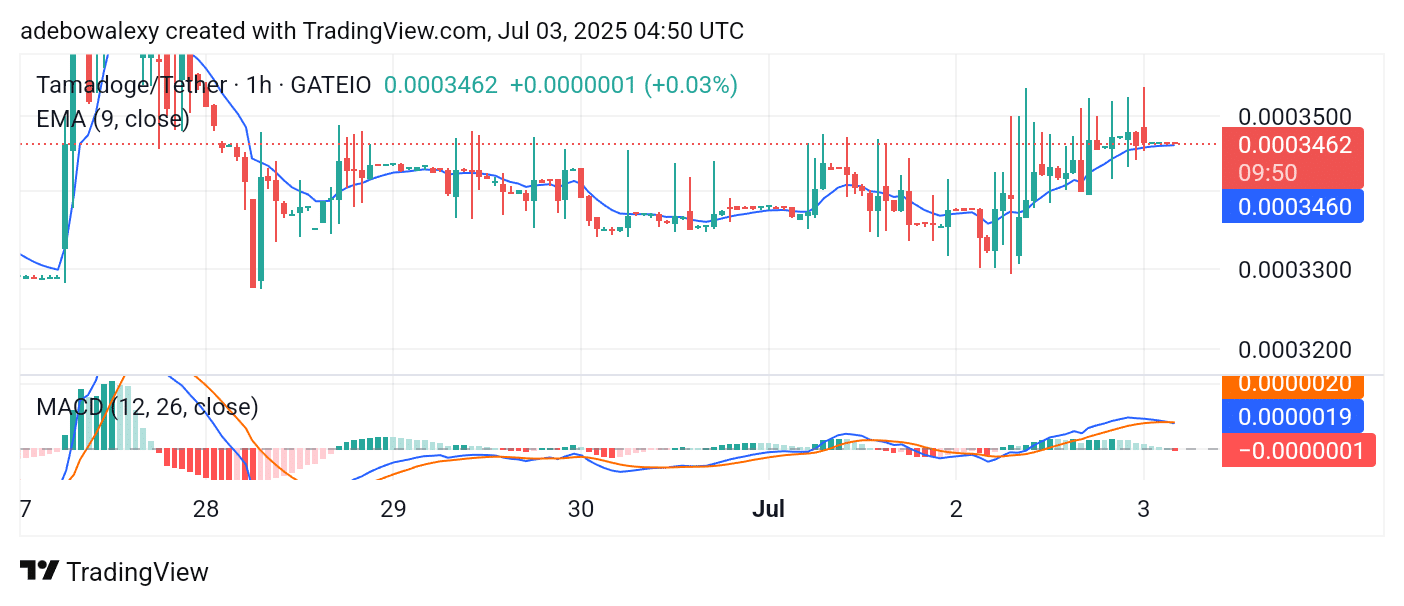 Tamadoge (TAMA) Price Outlook for July 3, 2025: TAMA/USDT About to Breach the $0.0003500 Level