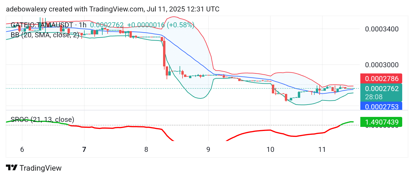 Tamadoge (TAMA) Price Outlook for July 11, 2025: TAMA/USDT Prepares for a Breakout