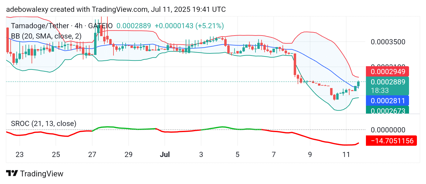 Tamadoge (TAMA) Price Outlook for July 12, 2025: TAMA/USDT Passing Critical Test Points