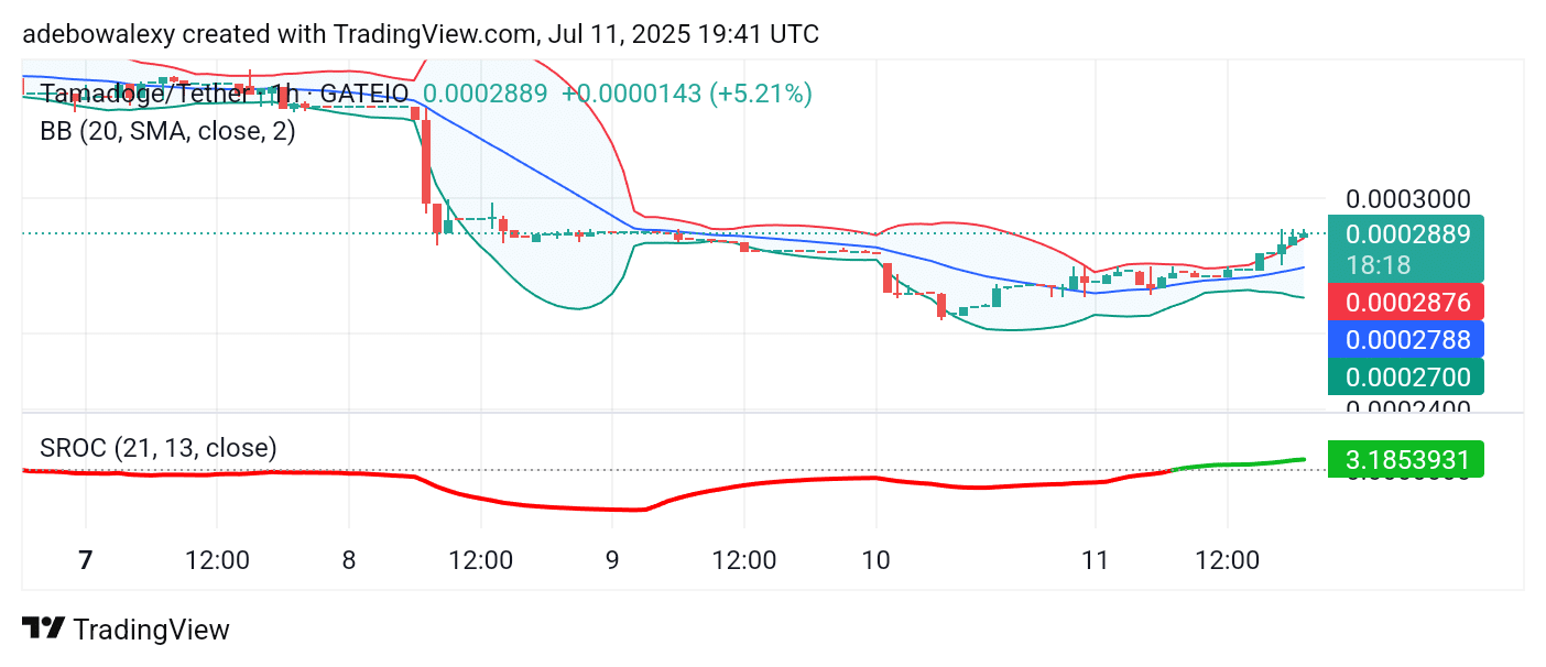 Tamadoge (TAMA) Price Outlook for July 12, 2025: TAMA/USDT Passing Critical Test Points