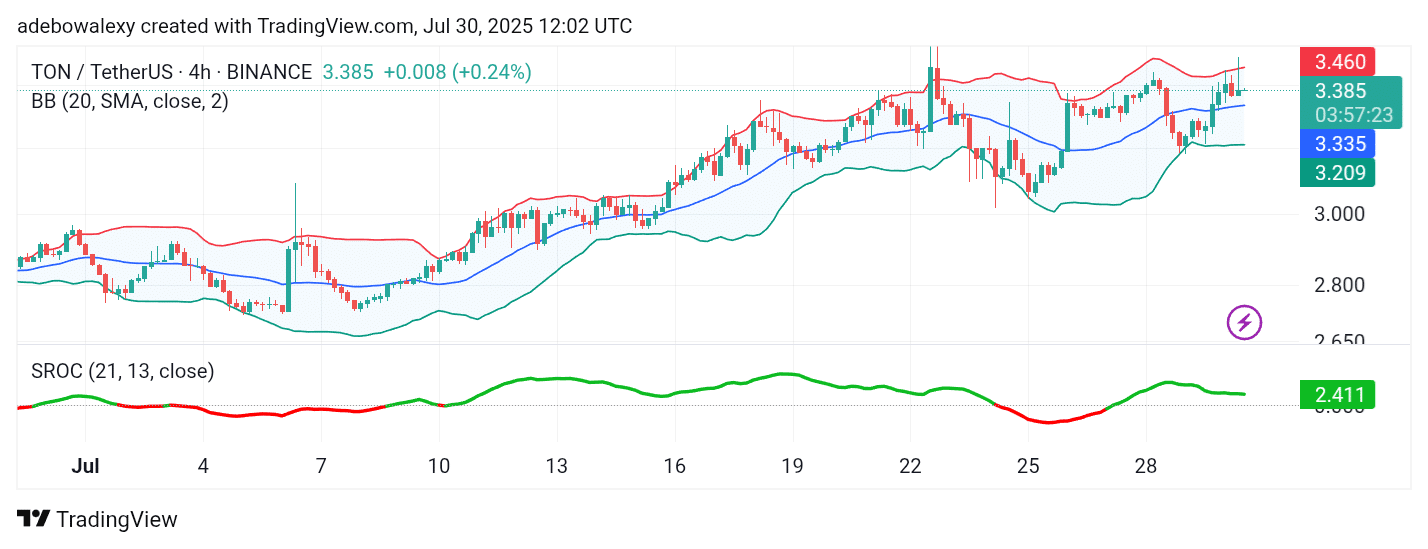 Toncoin (TON) Profit Shrinks but Maintains Upward Trajectory