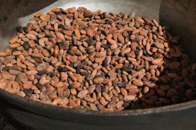 Cocoa Prices Mixed as Dollar Dips and Global Supply Worries Mount