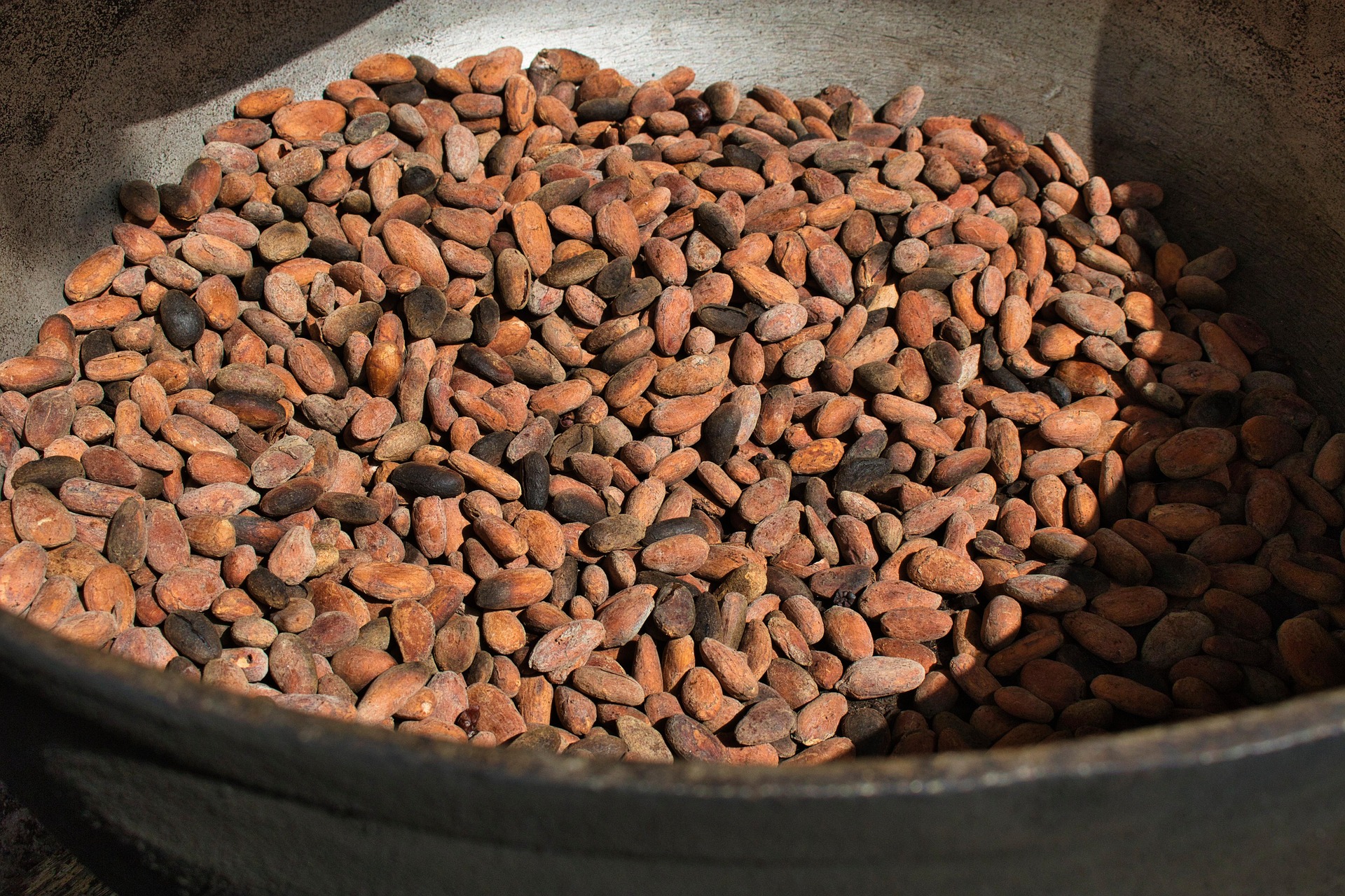 Cocoa Prices Mixed as Dollar Dips and Global Supply Worries Mount