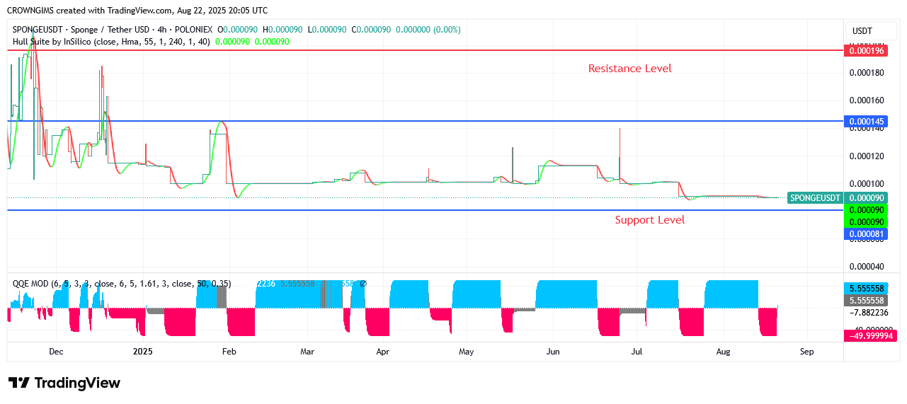 SPONGEUSDT Price Is on High Rise