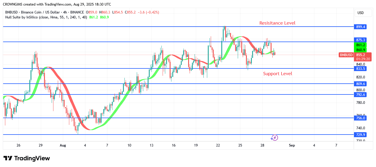 BNB (BNBUSD) Price Is Rising as bulls Are Getting Stronger
