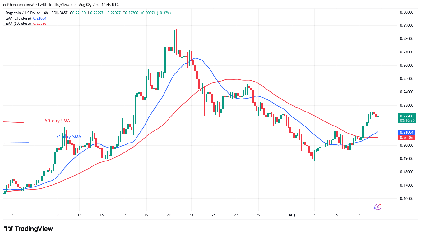 DOGE Is on the Rise but Faces a $0.23 Hurdle