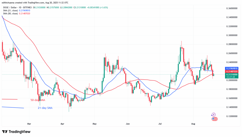 DOGE Slumps but Returns to the $0.19 Low
