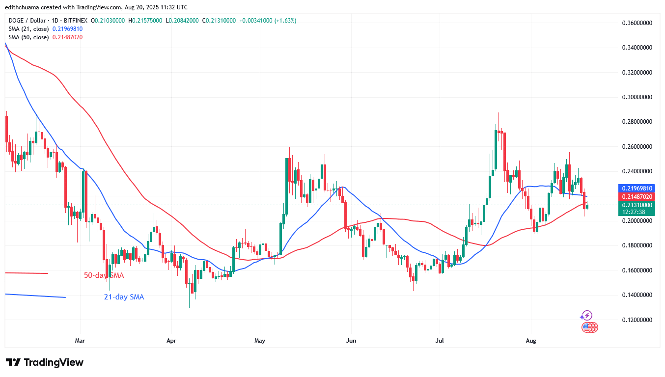 DOGE Slumps but Returns to the $0.19 Low