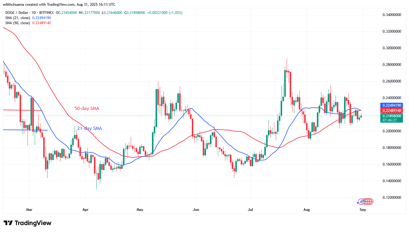DOGE Slumps to the Historic Low of $0.18