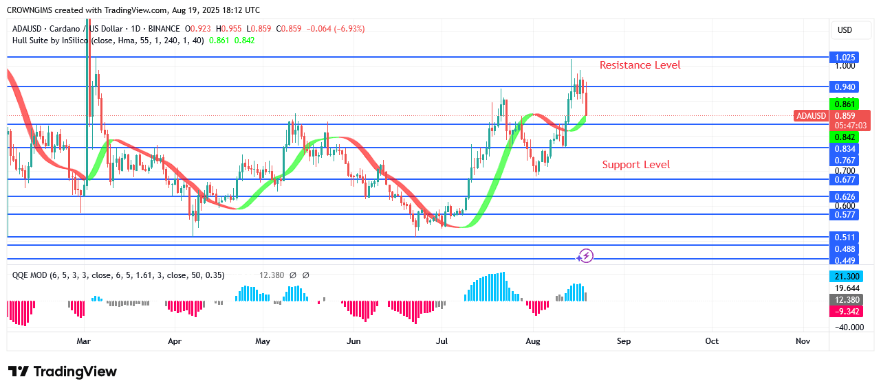 Cardano Price Bounces Off $1.0 Barrier Line
