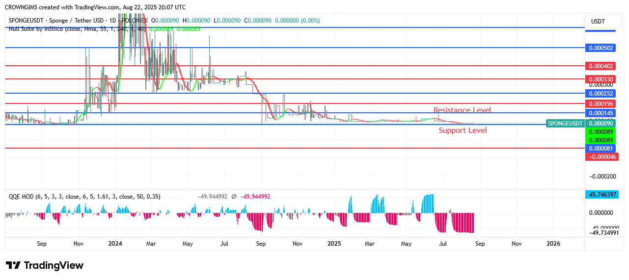 SPONGEUSDT Price Is on High Rise