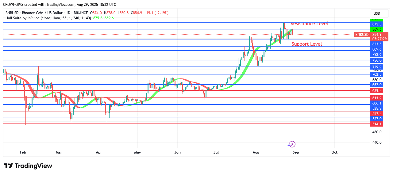 BNB (BNBUSD) Price Is Rising as bulls Are Getting Stronger