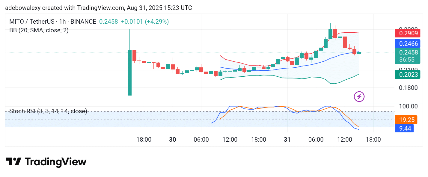 Trending Cryptocurrencies for August 31, 2025: POL, AXS, DOLO, MITO, and WILD