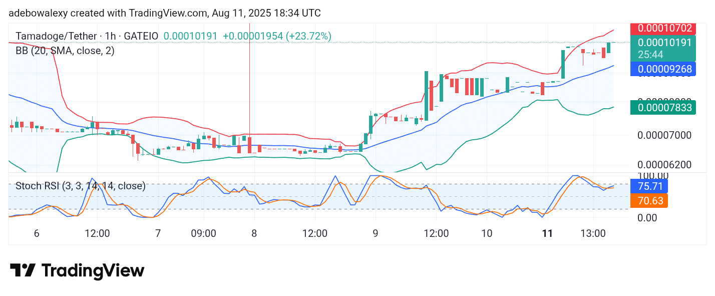 Tamadoge (TAMA) Price Outlook for August 11, 2025: TAMA/USDT Explodes Through Resistance